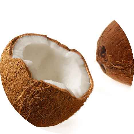 kokosovy orech