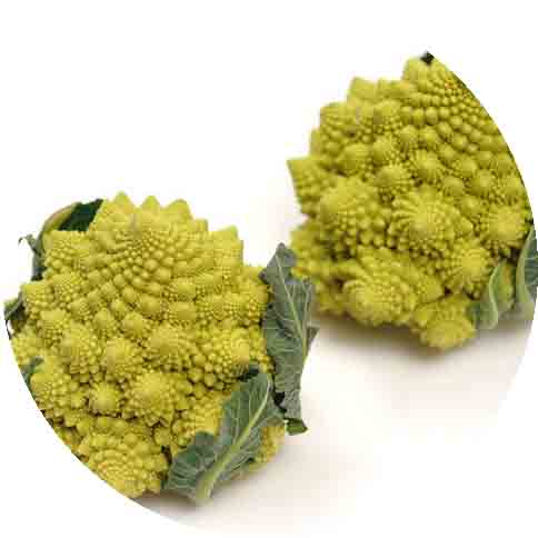 romanesco