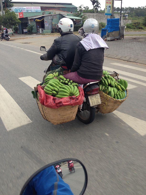 prevoz banánov motorkou